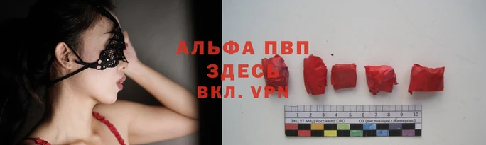 дмт Алексин