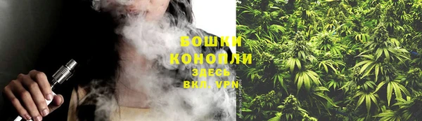 молекула духа Лихославль